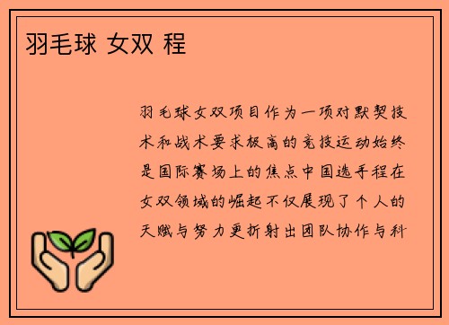 羽毛球 女双 程