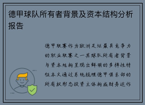 德甲球队所有者背景及资本结构分析报告