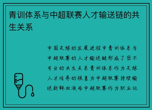 青训体系与中超联赛人才输送链的共生关系